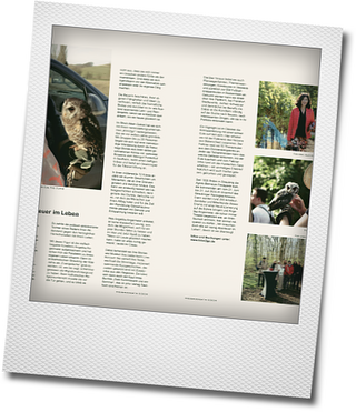 Pressebericht - Krimi2go: ein wenig Abenteuer im Leben